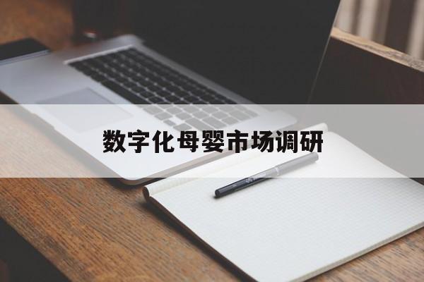 广元市数字化母婴市场调研(数字化母婴市场调研报告)