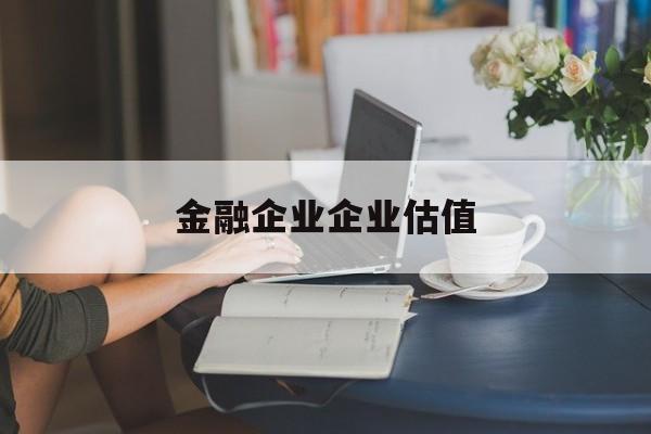 广元市金融企业企业估值(最新企业估值怎么填)